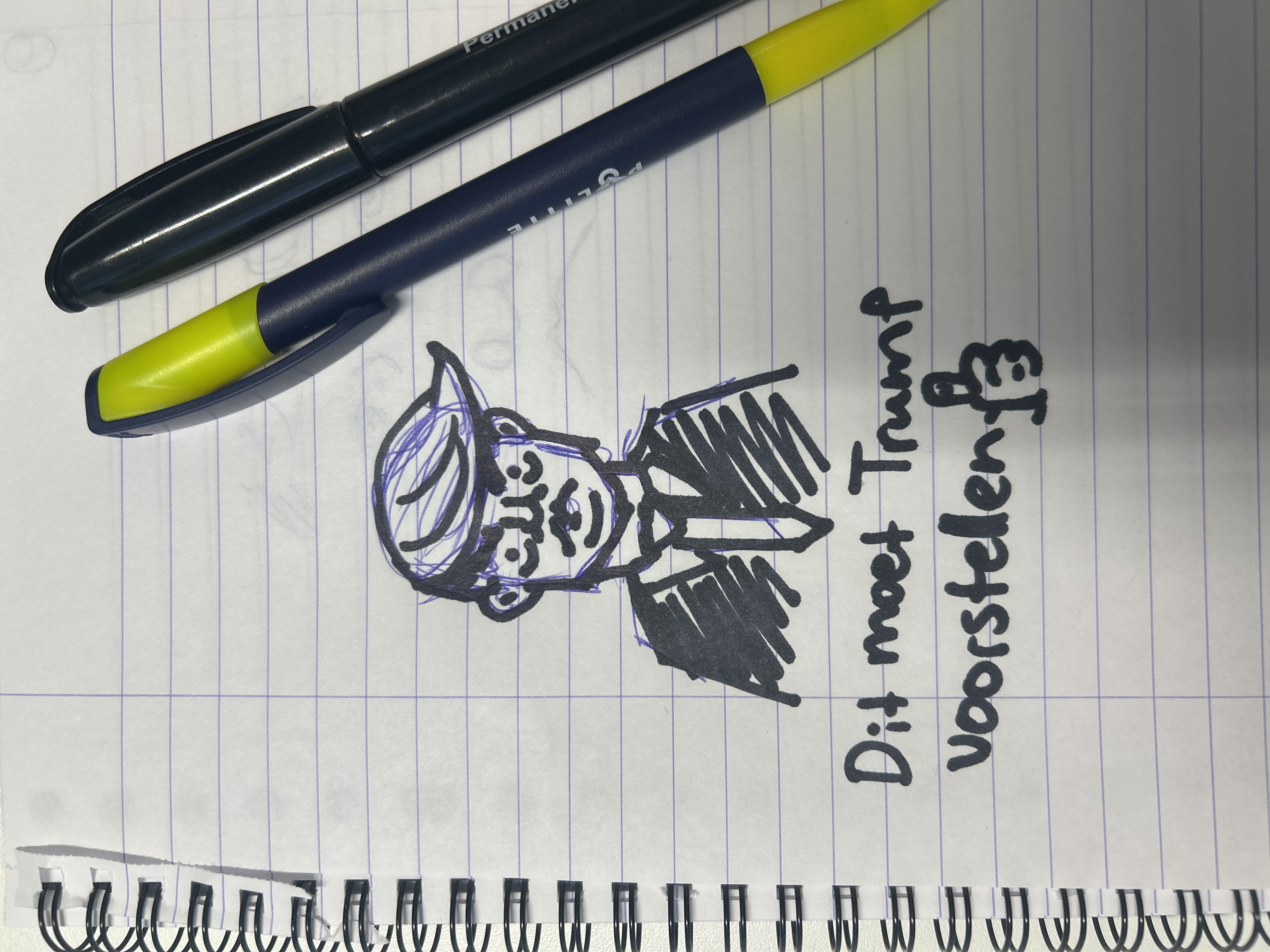 Maak een tekening van Donald Trump